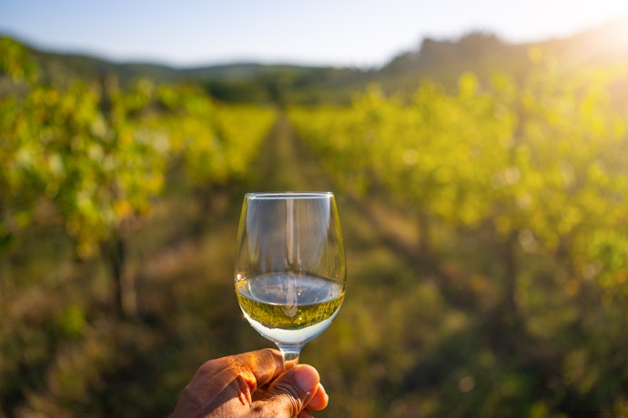 Para Explorar Diferentes Aromas, Experimente Vinhos Brancos Baratos de Diferentes Países