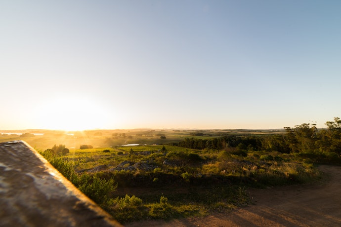 O Terroir da Região Produtora Possui Grande Influência no Vinho Tannat