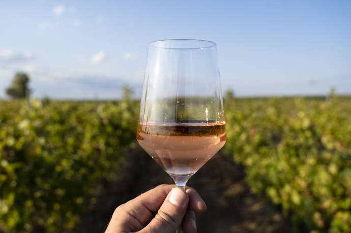 Conheça a Região de Produção para Entender Sobre Terroir do Vinho