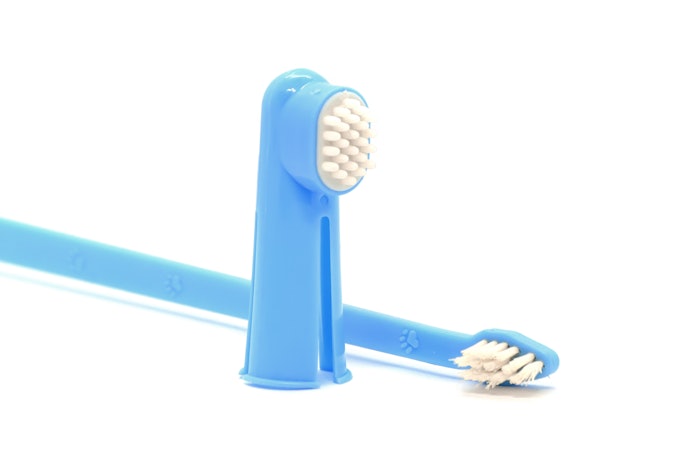 Para Mais Praticidade, Opte por Kits com Estojo, Pasta de Dente e Outros