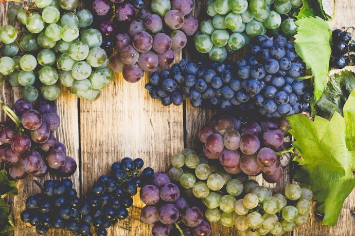 Vinhos com Uvas Cabernet Sauvignon e com Uvas Chardonnay Agradam Muitos Paladares