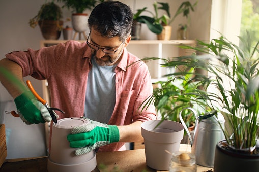 Para Equilibrar a Umidade da Terra, Considere um Vaso com Furos