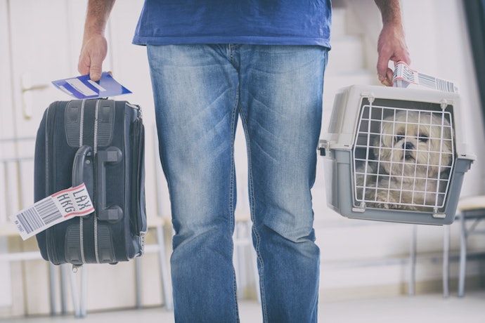 Se Vai Viajar de Avião, Priorize Caixas Rígidas com Travas Reforçadas