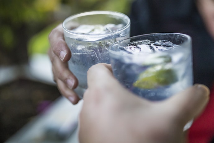 Não Pode Consumir Bebidas Alcoólicas? Opte por Um Gin sem Álcool