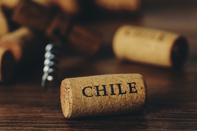Se Busca Equilibrar Preço e Sabor, Prefira um Vinho Suave Chileno