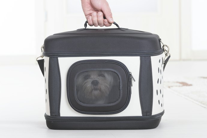 Transversal, de Mão ou Mochila? Defina o Tipo de Bolsa Mais Prática para Você