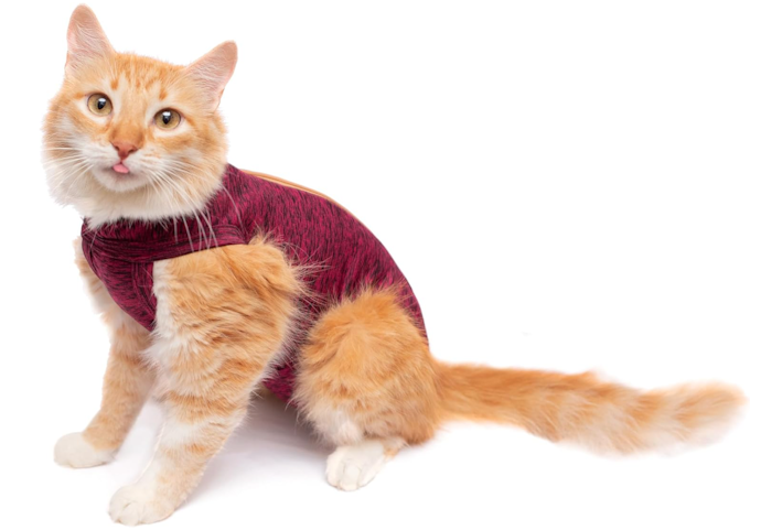 Para Ajuste Adequado da Roupa Cirúrgica, Escolha Conforme o Peso e Tamanho do Seu Gato