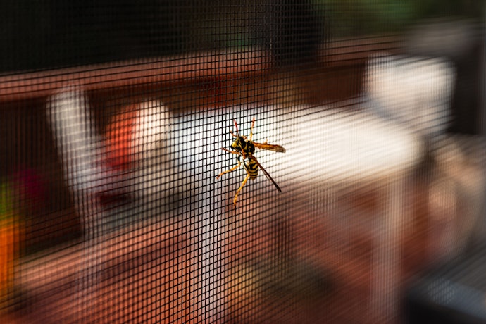 Se Quiser que a Tela Mosquiteiro Dure por Anos, Prefira Malhas de Aço Inox