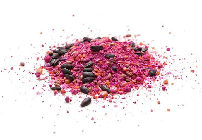 Anticoagulantes e Ingredientes Naturais Tornam o Veneno Eficaz e Atraente para Ratos