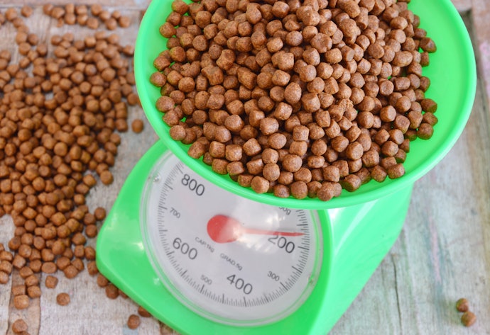 Se Você Tem Vários Gatos, Prefira Comprar um Pacote Grande, com Pelo Menos 10 Kg