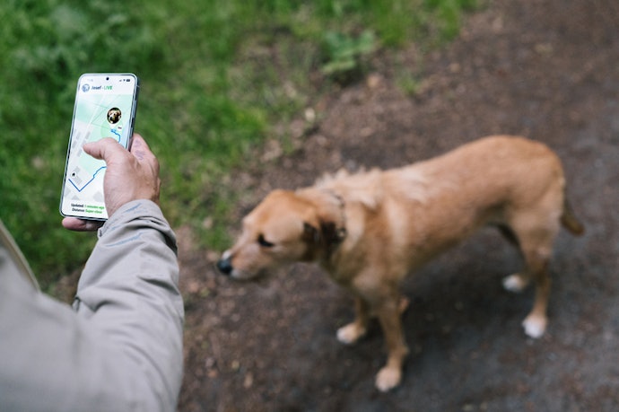 Para Mais Benefícios, Aposte em uma Coleira com GPS que Tenha Recursos como App