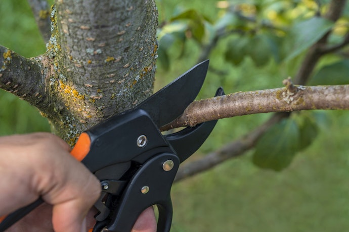 Tesouras com Diâmetro de Corte a Partir de 20 mm Garantem a Poda de Galhos Espessos