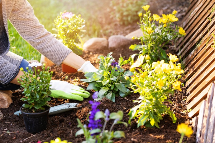Os Micronutrientes do Fertilizante Químico Também São Importantes