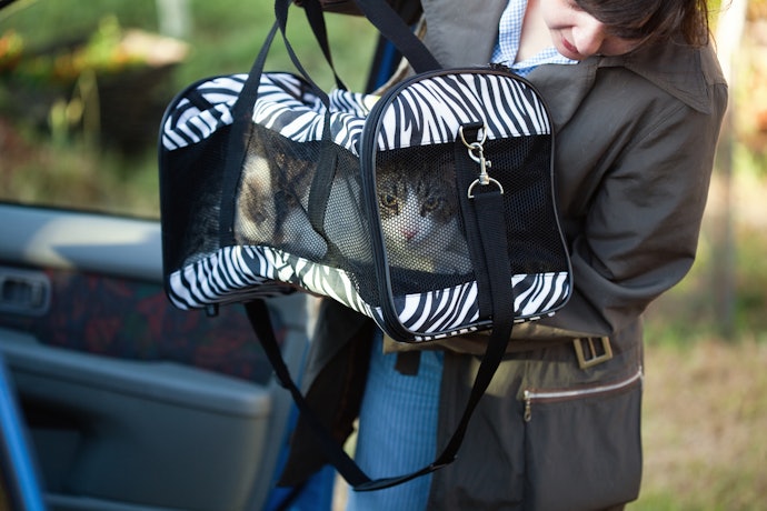 Escolha uma Bolsa de Transporte com a Capacidade Certa para o Peso do Animal