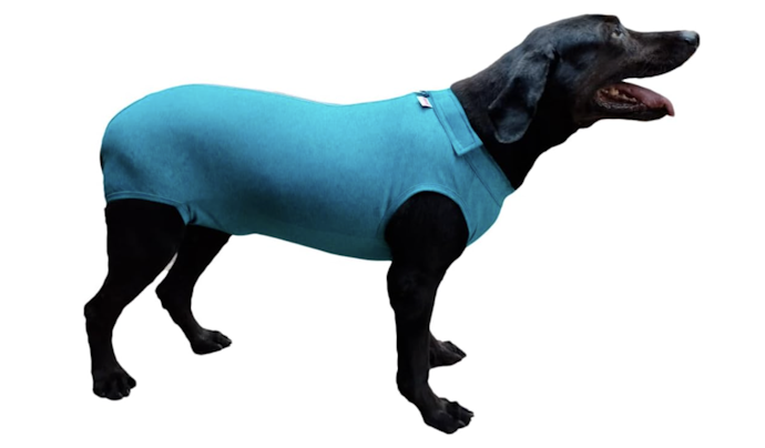 Para um Ajuste Adequado, Escolha a Roupa Cirúrgica Conforme o Porte do Seu Cachorro