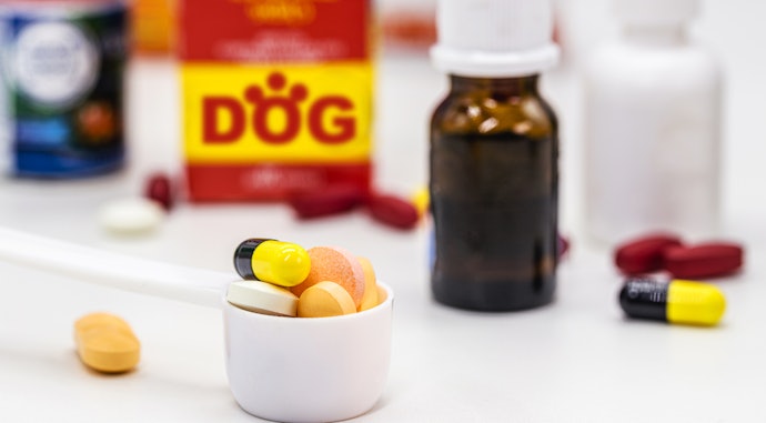 Conheça os Nutrientes Presentes na Fórmula da Vitamina para Cachorro