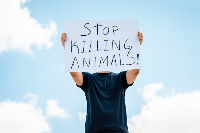 Prefira Produtos Veganos e Cruelty-Free e Apoie a Causa Animal