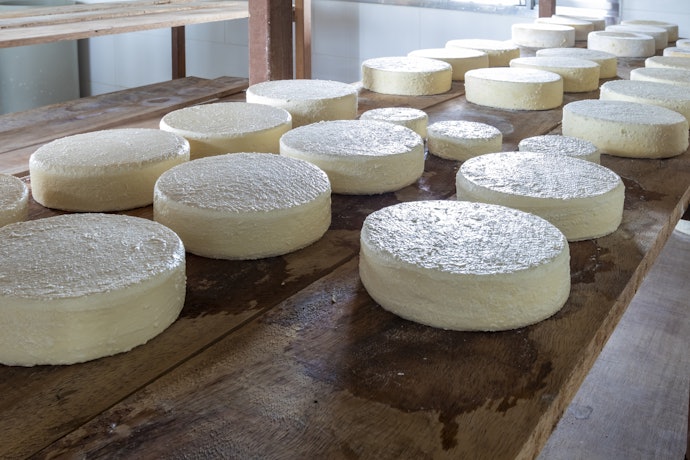 Escolha o Queijo de Minas com Base no Tipo