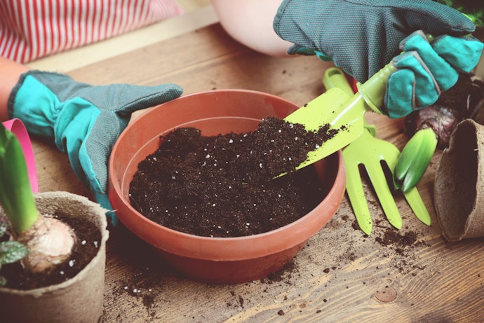 Terra Vegetal Adubada é uma Opção Mais Nutritiva