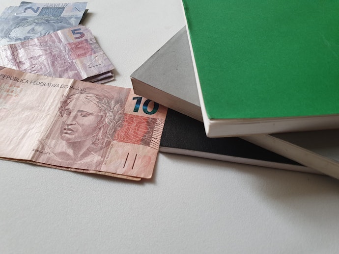 Obras que Evidenciam a Economia Brasileira podem ser Mais Interessantes