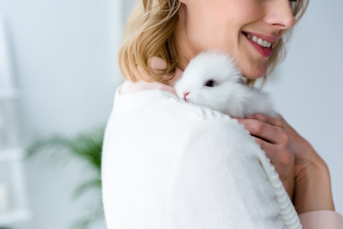 Para um Cosmético que Respeite a Vida dos Animais, Opte pelo Iluminador Vegano