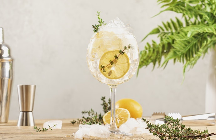 Se Prefere o Estilo Clássico, Escolha um Gin London Dry