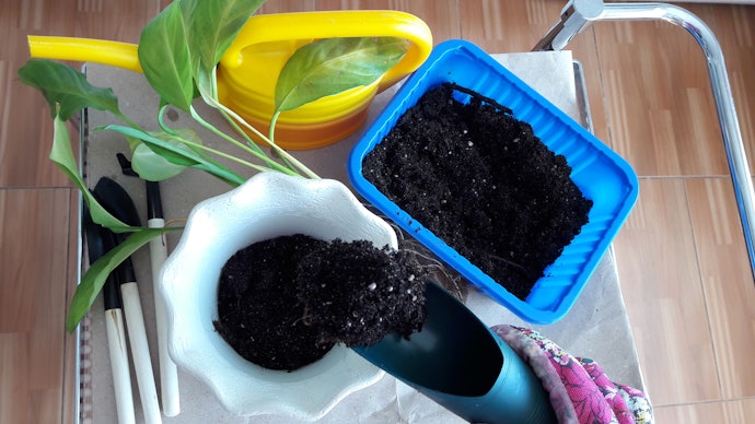 Confira a Composição da Terra Vegetal