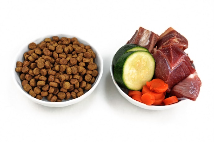 Para Reduzir o Risco de Desagradar o Gato, Prefira Sabores de Carne e Frango