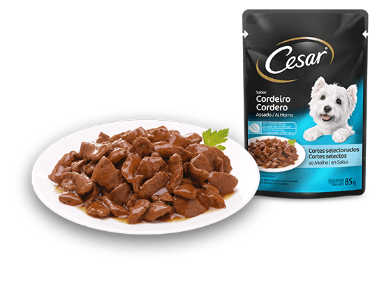 Veja o Tipo de Embalagem e o Peso Líquido da Ração Úmida para Cães