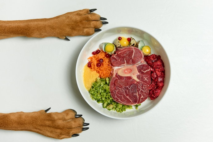 Fique Atento a Quantidade de Proteína Bruta da Ração Light para Cães