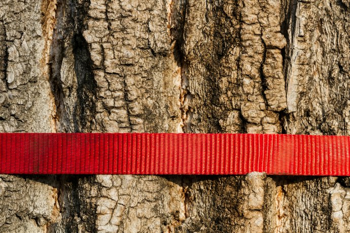 Considere os Slacklines com Itens Adicionais, como Protetor de Árvore e Backup