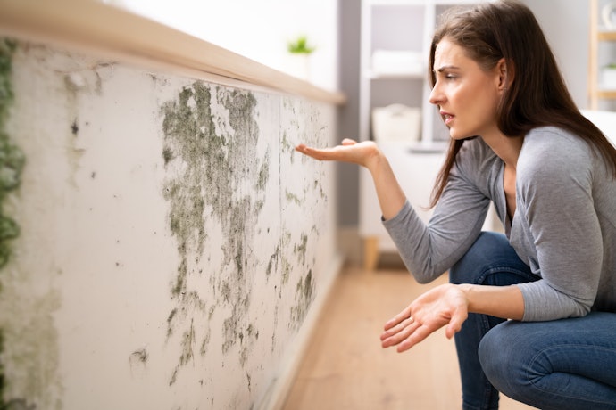 Para Locais Úmidos ou com Pouca Ventilação, Escolha uma Tinta Lavável Antimofo