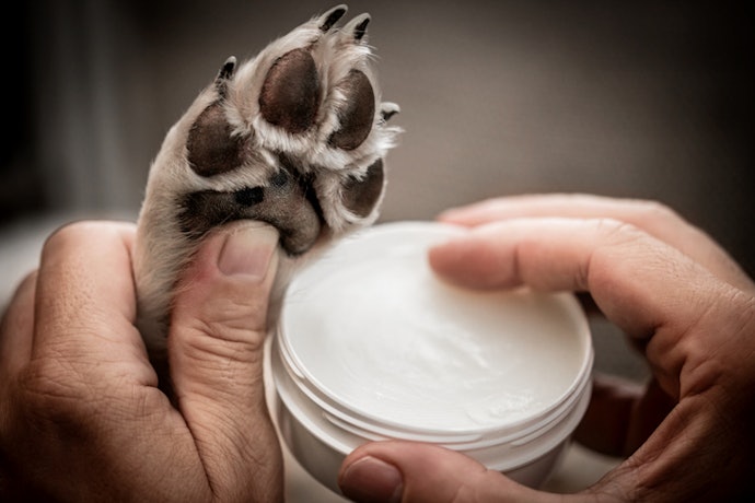 Se Quer Usar Também no Focinho, Prefira Fórmulas Lambíveis