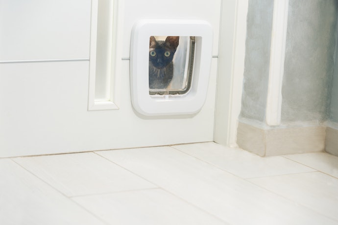 Para Reduzir o Barulho da Passagem do Gato, Prefira Portinhas com Escovas Laterais