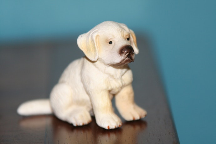 Se a Criança Gosta de Brincar no Quintal, Prefira Cachorros de Brinquedo de Materiais Laváveis