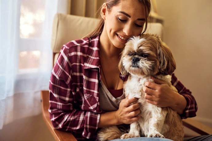 Tem um Shih Tzu ou Poodle? Prefira uma Coleira Antipulgas para Cachorro Pequeno
