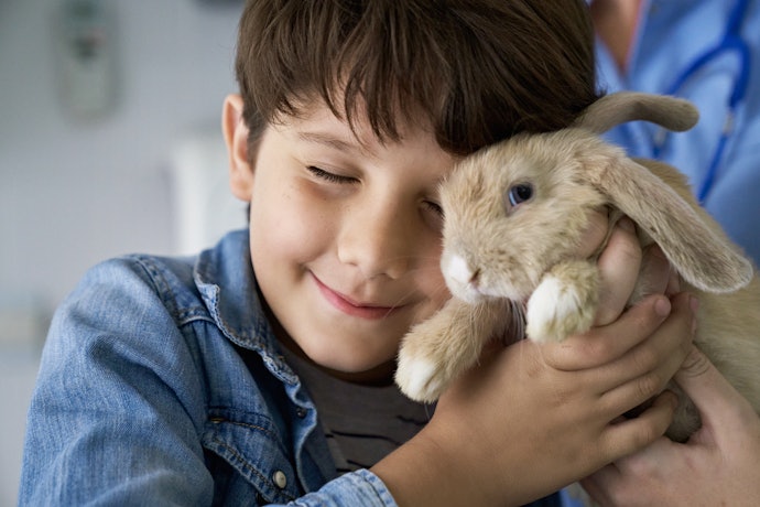 Cosméticos Cruelty-Free e Veganos São Mais Gentis com a Vida dos Bichinhos