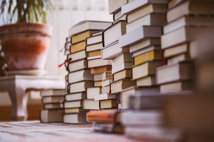 Prosa e Poesia: Entenda Melhor os Gêneros ou Formatos em que a Autora Escreveu