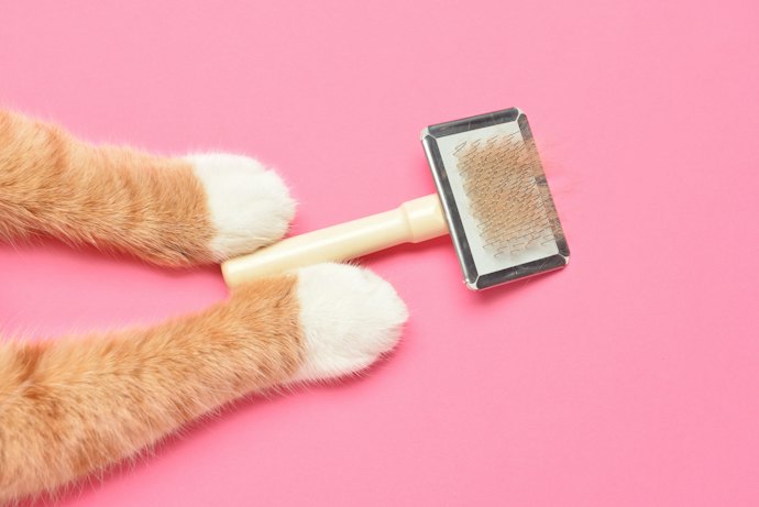 Para Remover os Pelos das Cerdas com Facilidade, Opte por uma Escova para Gatos Autolimpante