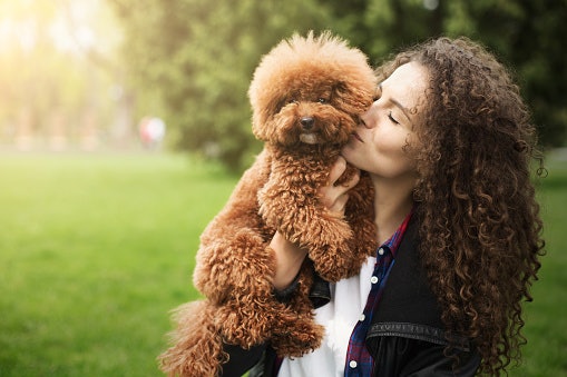 Se Colabora com a Causa Animal, Prefira Cremes Veganos e Cruelty-Free