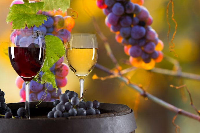 Conheça os Diferentes Sabores e Tipos de Uvas Moscatel