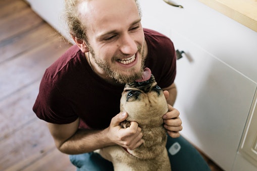 Para Apoiar a Causa Animal, Prefira Condicionadores para Barba Veganos e Cruelty Free