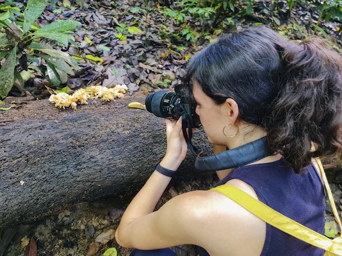 Tira Fotos com Frequência? Escolha uma Câmera Nikon com Mais de 250 Disparos