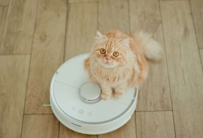 Se Tem Pet, Prefira um Robô Aspirador Xiaomi com Sucção de 5000 Pa ou Mais