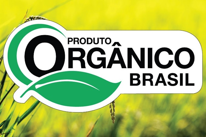 Quer Diminuir os Riscos a Saúde? Considere os Cafés em Grãos Orgânicos