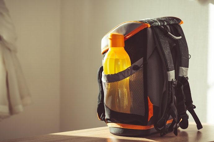 Confira se a Mochila Possui Extras, como Rodinhas e Alças Acolchoadas