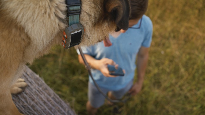 Para Localizar seu Pet a Qualquer Distância, Prefira Coleira com GPS com Alcance Ilimitado