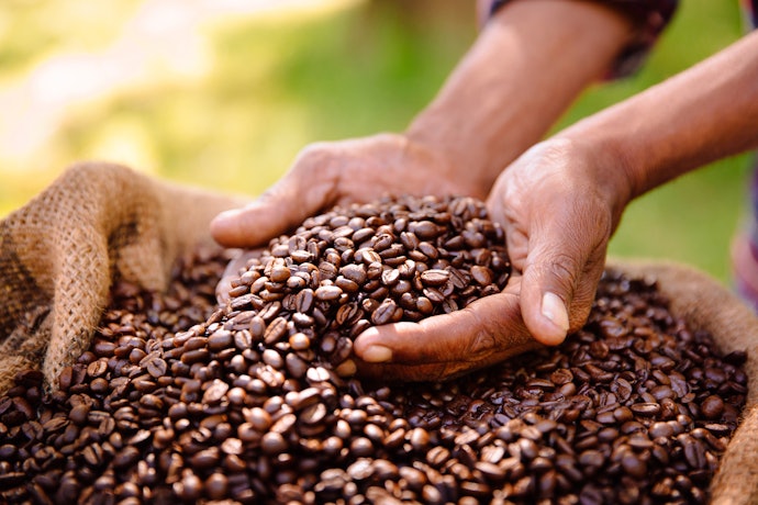 Para Diminuir o Impacto Ambiental, Presenteie com Kits de Café Orgânicos