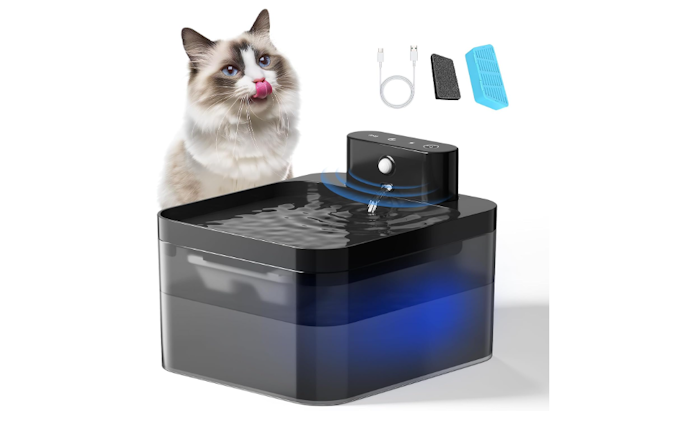 Seu Gato Precisa de Mais Estímulo? Escolha Bebedouro para Gatos com Sensor, Baixo Ruído e LED