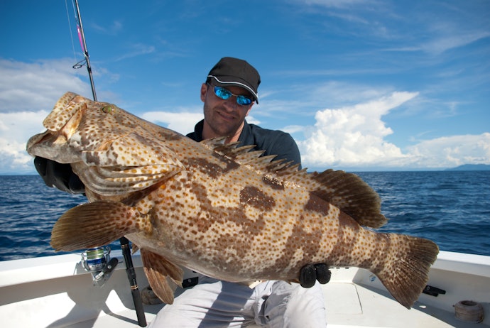 Carretilhas Perfil Alto com Drag de 12 Kg São as Ideais para Pescar Peixes Grandes